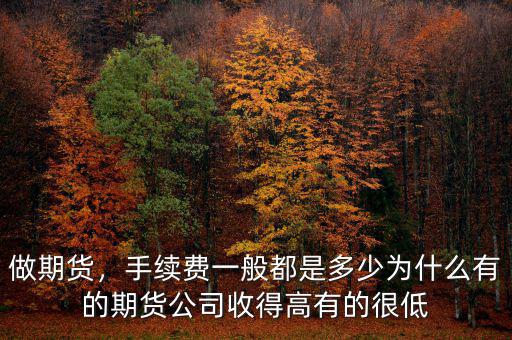 做期貨，手續(xù)費(fèi)一般都是多少為什么有的期貨公司收得高有的很低