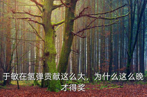 于敏在氫彈貢獻這么大，為什么這么晚才得獎