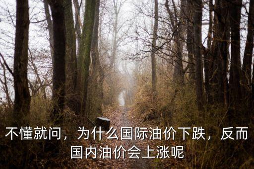 不懂就問，為什么國際油價(jià)下跌，反而國內(nèi)油價(jià)會上漲呢