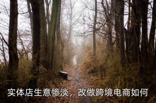 實(shí)體店生意慘淡，改做跨境電商如何