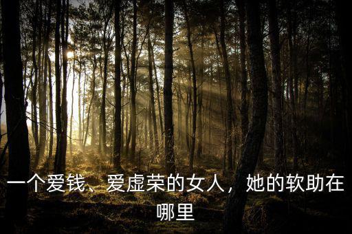 一個愛錢、愛虛榮的女人，她的軟助在哪里