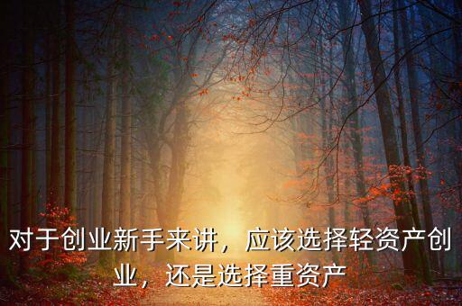 對于創(chuàng)業(yè)新手來講，應該選擇輕資產(chǎn)創(chuàng)業(yè)，還是選擇重資產(chǎn)