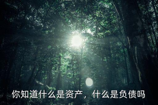 你知道什么是資產(chǎn)，什么是負(fù)債嗎