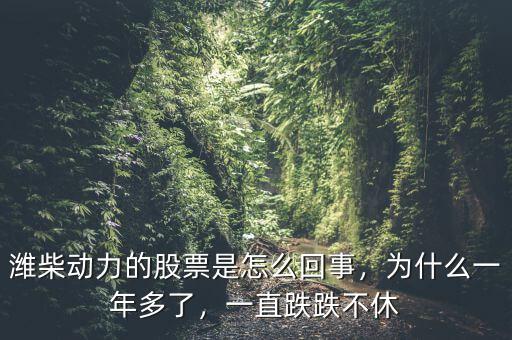 濰柴動力的股票是怎么回事，為什么一年多了，一直跌跌不休