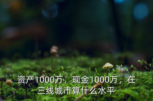 資產(chǎn)1000萬(wàn)，現(xiàn)金1000萬(wàn)，在三線(xiàn)城市算什么水平