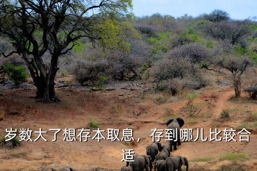 歲數(shù)大了想存本取息，存到哪兒比較合適