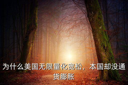 為什么美國無限量化寬松，本國卻沒通貨膨脹