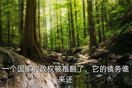 一個國家的政權被推翻了，它的債務誰來還