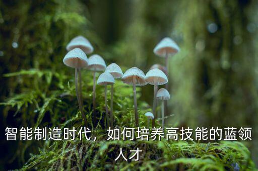 智能制造時(shí)代，如何培養(yǎng)高技能的藍(lán)領(lǐng)人才