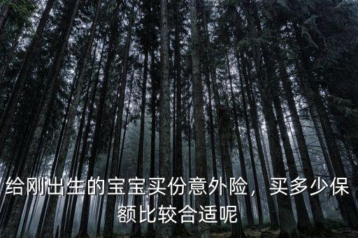 給剛出生的寶寶買份意外險，買多少保額比較合適呢