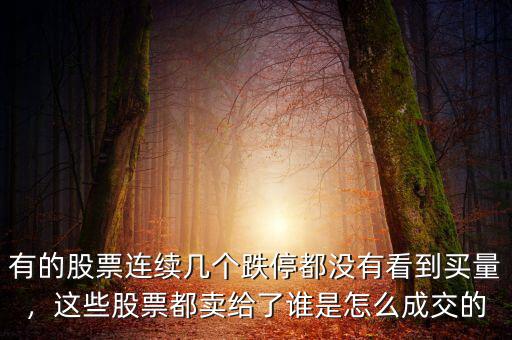 有的股票連續(xù)幾個跌停都沒有看到買量，這些股票都賣給了誰是怎么成交的
