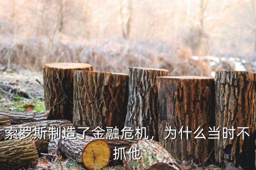 索羅斯制造了金融危機(jī)，為什么當(dāng)時(shí)不抓他
