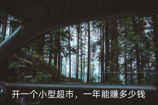 開一個(gè)小型超市，一年能賺多少錢