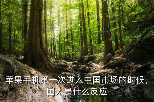蘋果手機(jī)第一次進(jìn)入中國市場的時候，國人是什么反應(yīng)