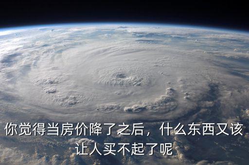 你覺得當(dāng)房?jī)r(jià)降了之后，什么東西又該讓人買不起了呢