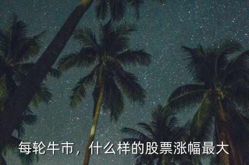 每輪牛市，什么樣的股票漲幅最大