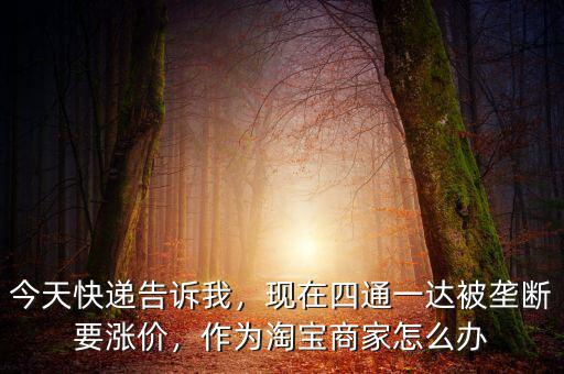 今天快遞告訴我，現(xiàn)在四通一達(dá)被壟斷要漲價(jià)，作為淘寶商家怎么辦