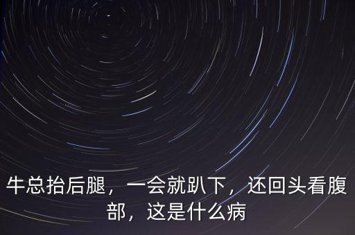 牛總抬后腿，一會就趴下，還回頭看腹部，這是什么病