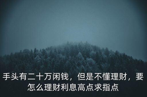 手頭有二十萬閑錢，但是不懂理財，要怎么理財利息高點求指點