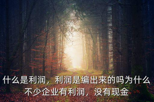 什么是利潤，利潤是編出來的嗎為什么不少企業(yè)有利潤，沒有現(xiàn)金