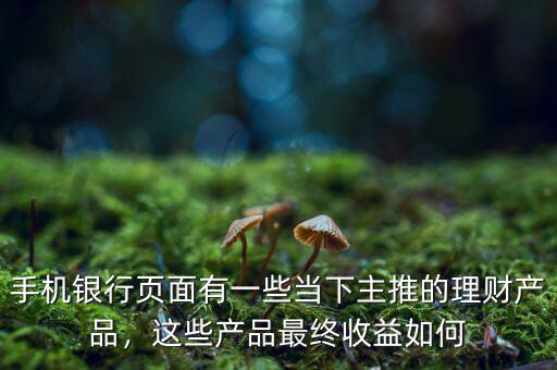 手機(jī)銀行頁(yè)面有一些當(dāng)下主推的理財(cái)產(chǎn)品，這些產(chǎn)品最終收益如何
