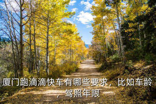 廈門跑滴滴快車有哪些要求，比如車齡，駕照年限