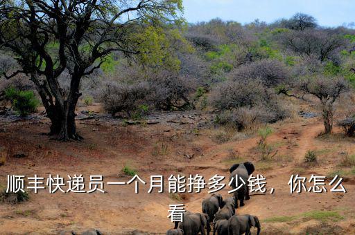 順豐快遞員一個月能掙多少錢，你怎么看