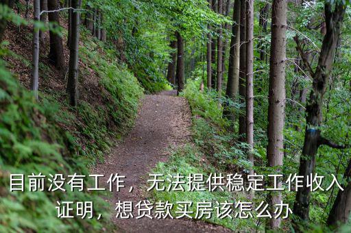 目前沒有工作，無法提供穩(wěn)定工作收入證明，想貸款買房該怎么辦