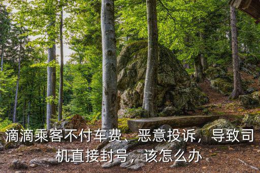 滴滴乘客不付車費(fèi)、惡意投訴，導(dǎo)致司機(jī)直接封號(hào)，該怎么辦