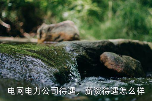 電網(wǎng)電力公司待遇，薪資待遇怎么樣