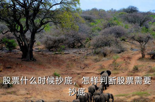 股票什么時候抄底，怎樣判斷股票需要抄底