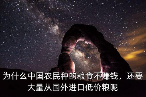 為什么中國農(nóng)民種的糧食不賺錢，還要大量從國外進口低價糧呢