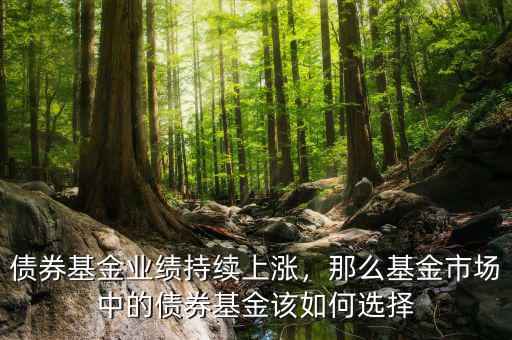 債券基金業(yè)績(jī)持續(xù)上漲，那么基金市場(chǎng)中的債券基金該如何選擇