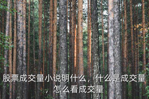 股票成交量小說(shuō)明什么，什么是成交量，怎么看成交量