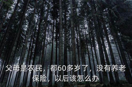 父母是農(nóng)民，都60多歲了，沒有養(yǎng)老保險，以后該怎么辦