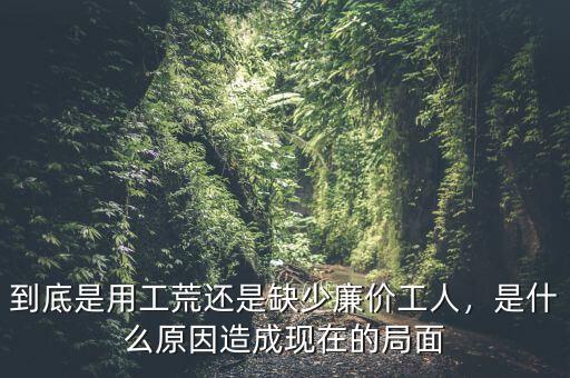 到底是用工荒還是缺少廉價工人，是什么原因造成現(xiàn)在的局面