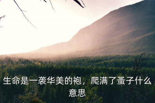 生命是一襲華美的袍，爬滿了蚤子什么意思
