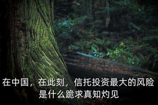 在中國，在此刻，信托投資最大的風(fēng)險是什么跪求真知灼見