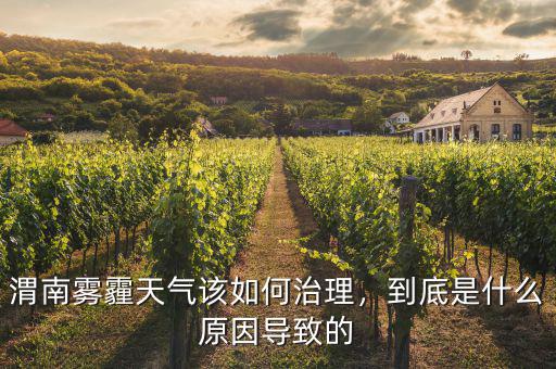 渭南霧霾天氣該如何治理，到底是什么原因?qū)е碌? class=