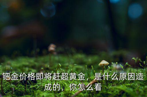 鈀金價(jià)格即將趕超黃金，是什么原因造成的，你怎么看