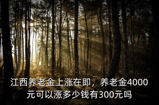 江西養(yǎng)老金上漲在即，養(yǎng)老金4000元可以漲多少錢有300元嗎