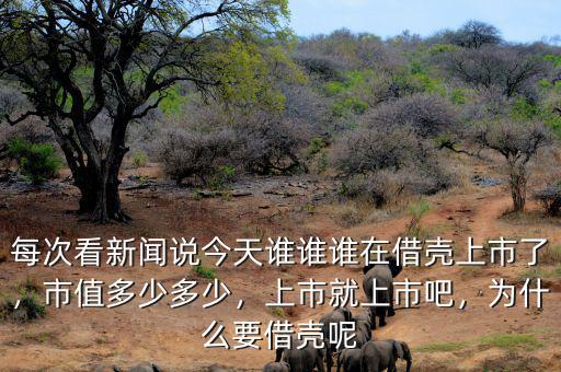 每次看新聞?wù)f今天誰(shuí)誰(shuí)誰(shuí)在借殼上市了，市值多少多少，上市就上市吧，為什么要借殼呢
