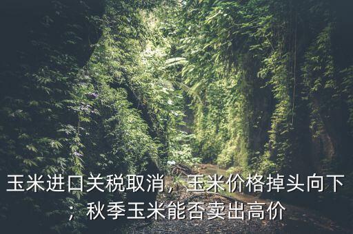 玉米進口關(guān)稅取消，玉米價格掉頭向下；秋季玉米能否賣出高價