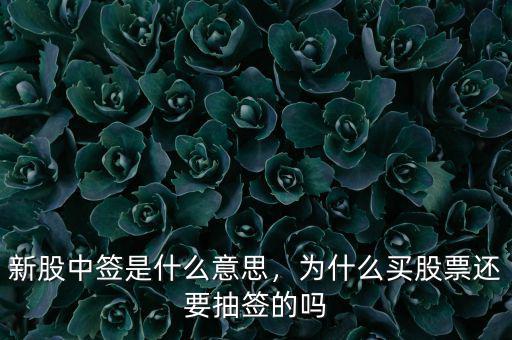新股中簽是什么意思，為什么買股票還要抽簽的嗎