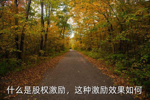 什么是股權(quán)激勵，這種激勵效果如何