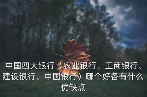 中國四大銀行（農(nóng)業(yè)銀行、工商銀行、建設(shè)銀行、中國銀行）哪個好各有什么優(yōu)缺點(diǎn)