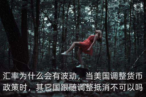 匯率為什么會有波動，當(dāng)美國調(diào)整貨幣政策時(shí)，其它國跟隨調(diào)整抵消不可以嗎