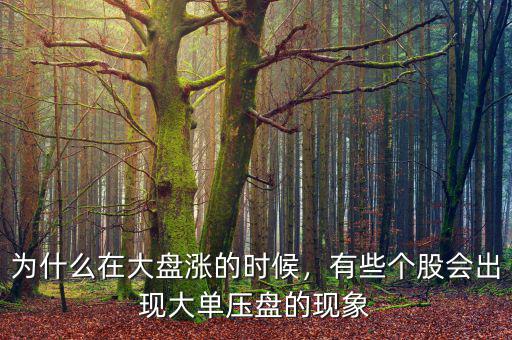 為什么在大盤漲的時候，有些個股會出現(xiàn)大單壓盤的現(xiàn)象