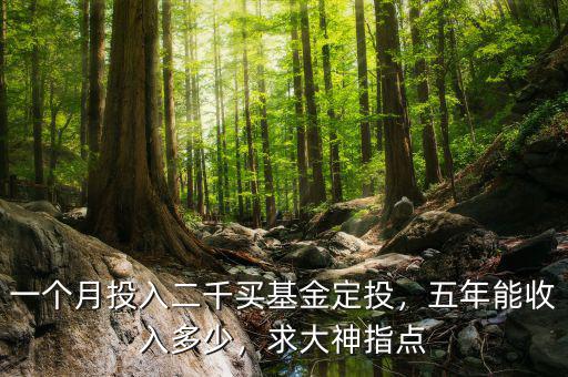 一個月投入二千買基金定投，五年能收入多少，求大神指點