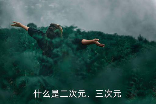 什么是二次元、三次元
